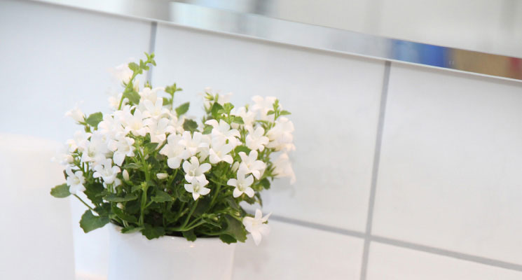 Blumen im Badezimmer